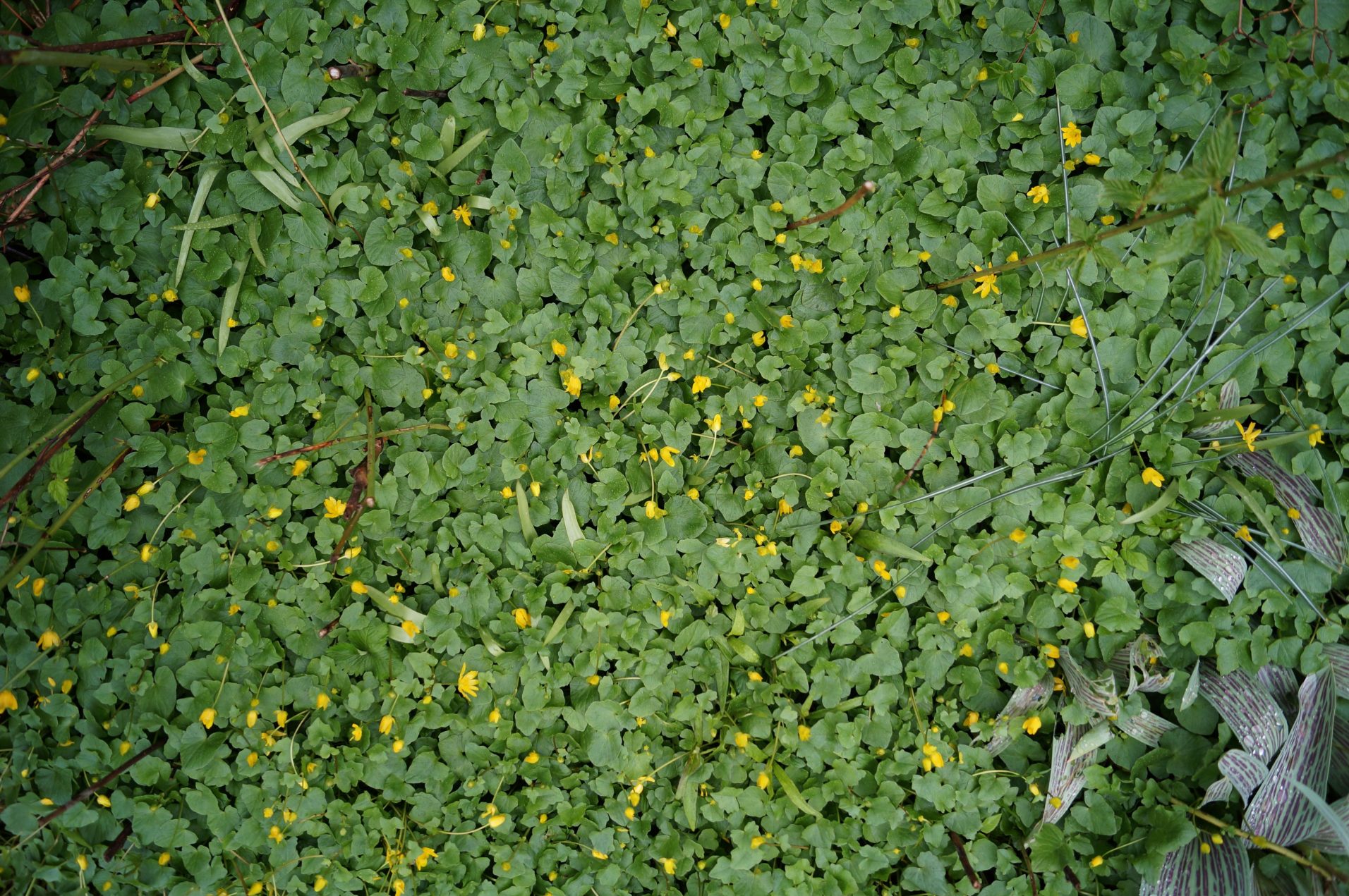 blog post main image